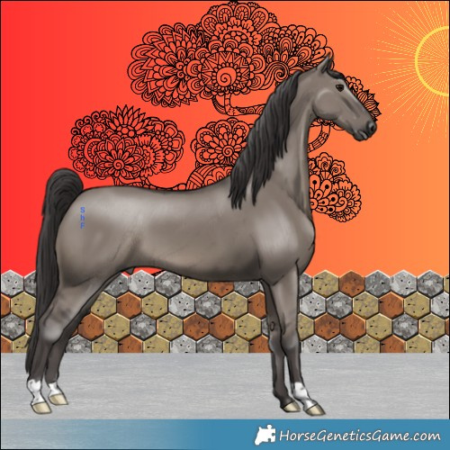 Horse Color:Smoky Grullo 