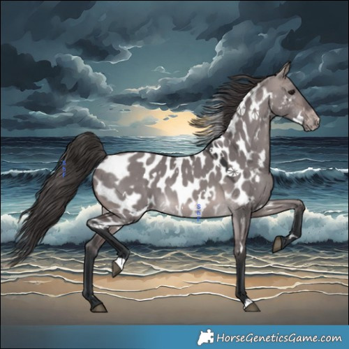 Horse Color:Platinum White Spotted Brown Dun Appaloosa 