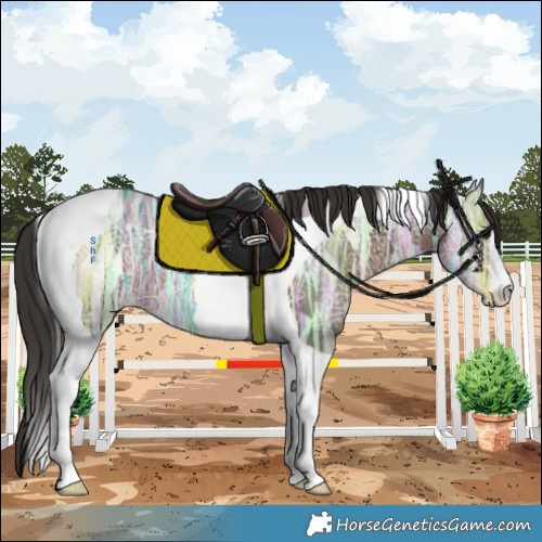 Horse Color:Liver Chestnut Ice Tobiano