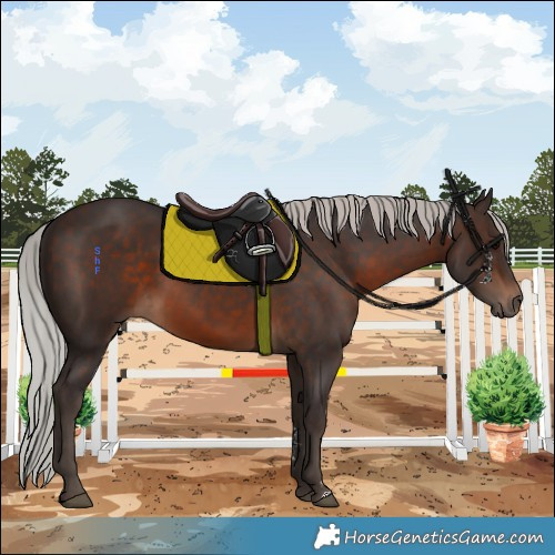 Horse Color:Silver Brown