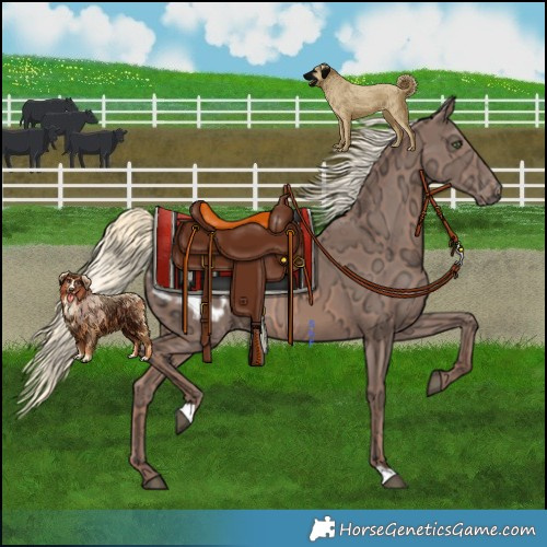 Horse Color:Chestnut Ice Mushroom Appaloosa Rabicano 