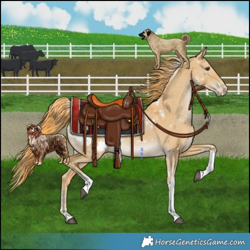 Horse Color:Watercolor Liver Red Dun Tobiano Appaloosa Rabicano 
