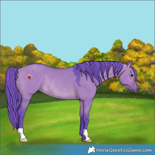 Horse Color:Watercolor Brown Dun Rabicano 