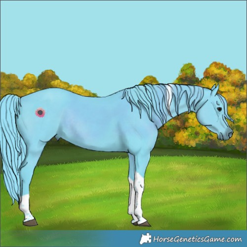 Horse Color:Watercolor White Spotted Black Tobiano Rabicano