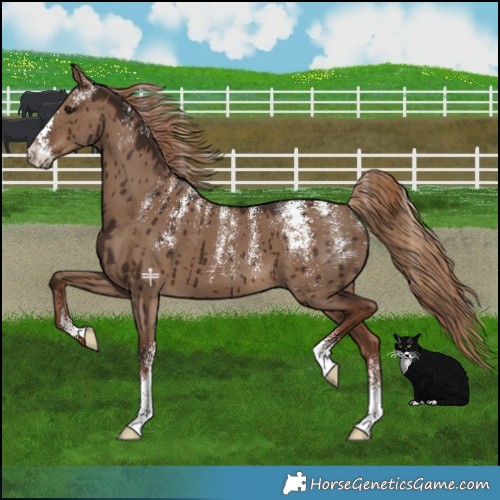 Horse Color:Powder White Liver Red Dun Brindle 