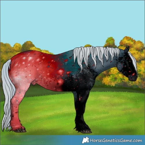 Horse Color:ERROR: UNKNOWN ANOMALY