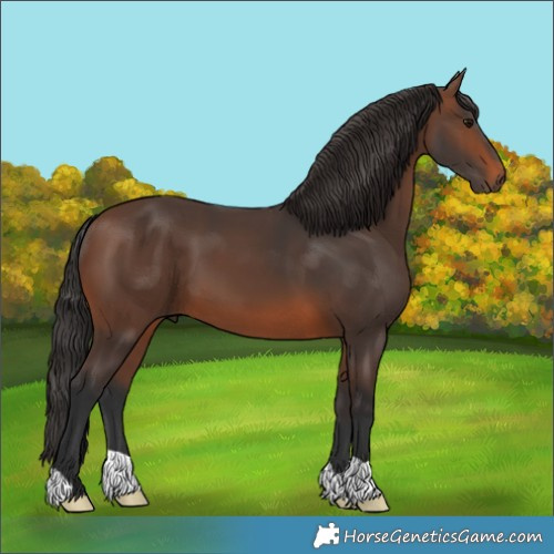 Horse Color:Brown 