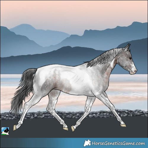 Horse Color:Powder White Brown Mushroom Tobiano Rabicano