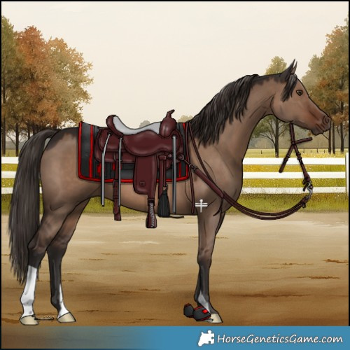 Horse Color:Liver Red Dun 