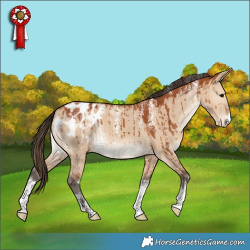 Horse Color:Powder White Bay Dun Appaloosa Brindle