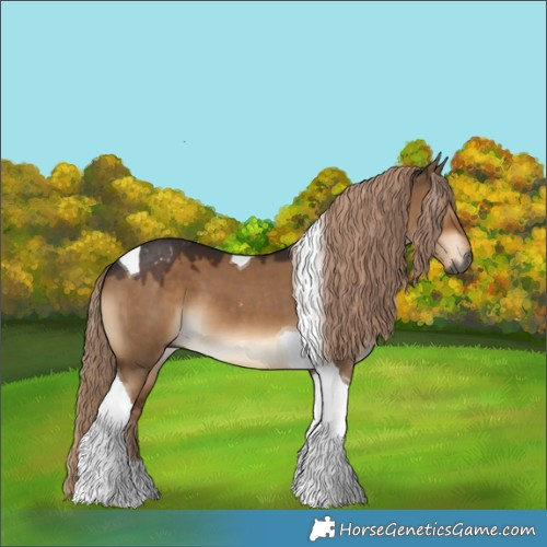 Horse Color:Gray Liver Red Dun Tobiano 