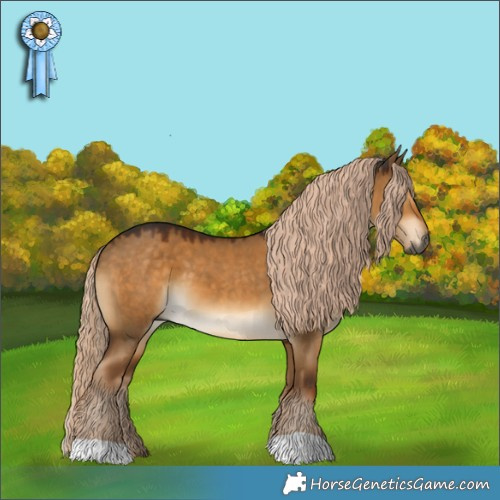 Horse Color:Gray Chocolate Palomino Dun