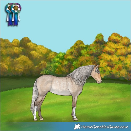 Horse Color:Gray Silver Perlino Roan Dun Rabicano