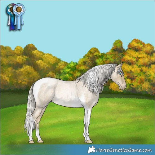 Horse Color:Silver Buckskin Roan Pearl Dun Tobiano Brindle