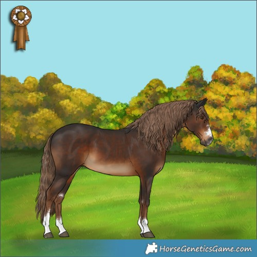 Horse Color:Gray Liver Chestnut 