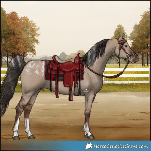 Horse Color:Powder White Liver Red Dun Rabicano 