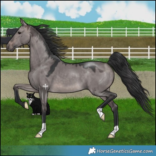 Horse Color:Platinum Brown Dun 