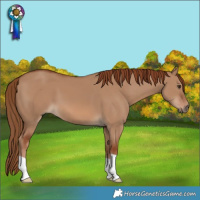 Horse Color:Red Dun 