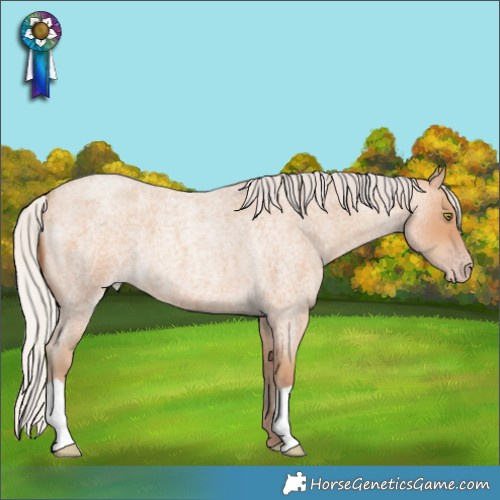 Horse Color:Silver Amber Champagne Roan