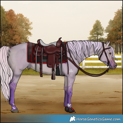 Horse Color:Watercolor Silver Bay Dun 