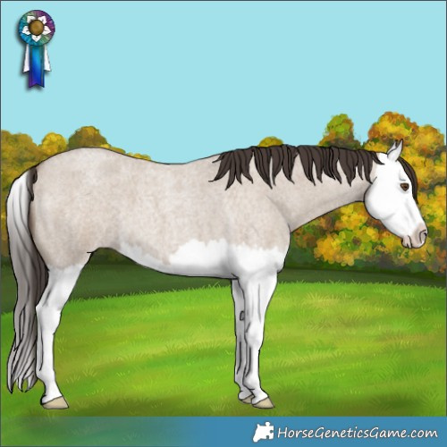 Horse Color:Classic Champagne Roan Dun Splash
