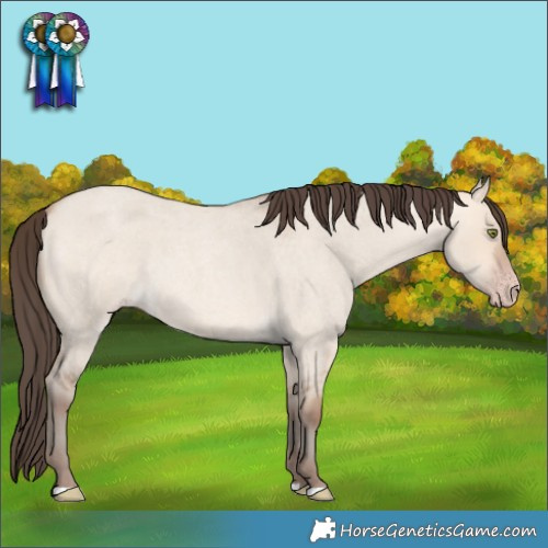 Horse Color:Amber Champagne Roan Dun