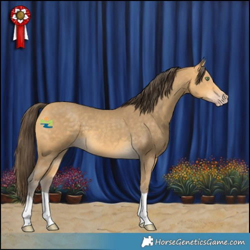 Horse Color:Sable Cream Champagne 