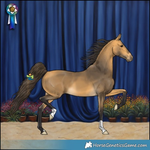 Horse Color:Buckskin
