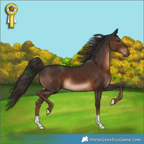 Horse Color:Liver Chestnut