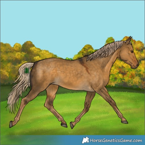 Horse Color:Chocolate Palomino Dun 