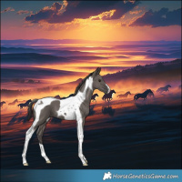 Horse Color:Smoky Grullo Tobiano