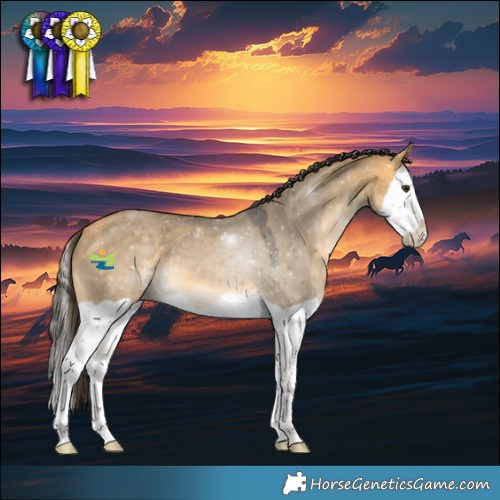 Horse Color:Buckskin Dun Splash