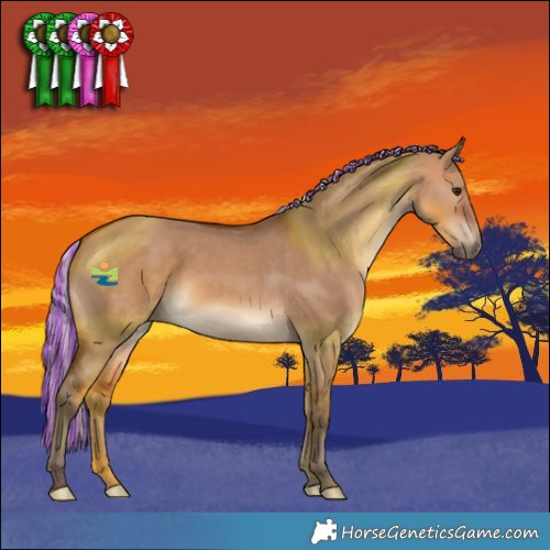 Horse Color:Painted Silver Bay Dun 