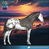 Horse Color:Grullo Splash Varnish