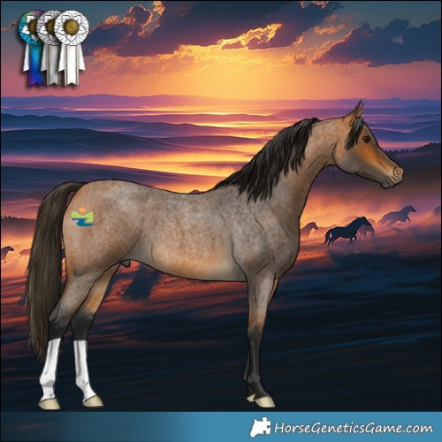 Horse Color:Gray Buckskin Roan 