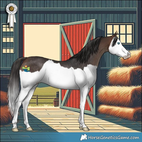 Horse Color:Brown Splash Rabicano