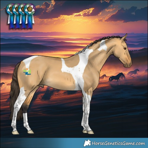 Horse Color:Buckskin Dun Tobiano