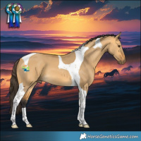 Horse Color:Buckskin Dun Tobiano 