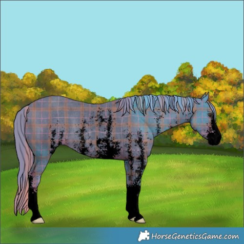 Horse Color:Void Watercolor Plaid  Liver Chestnut Sabino 