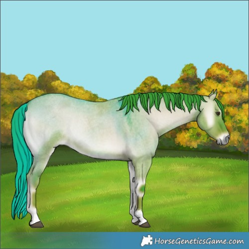 Horse Color:Watercolor Liver Red Dun Roan Onyx