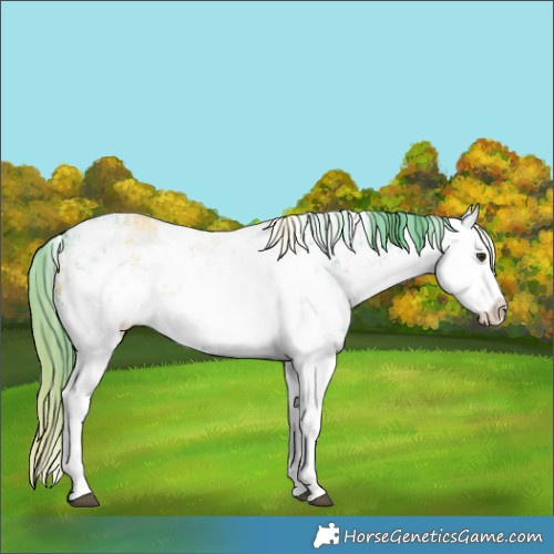 Horse Color:Watercolor Plaid White Spotted Liver Chestnut Ice Sabino