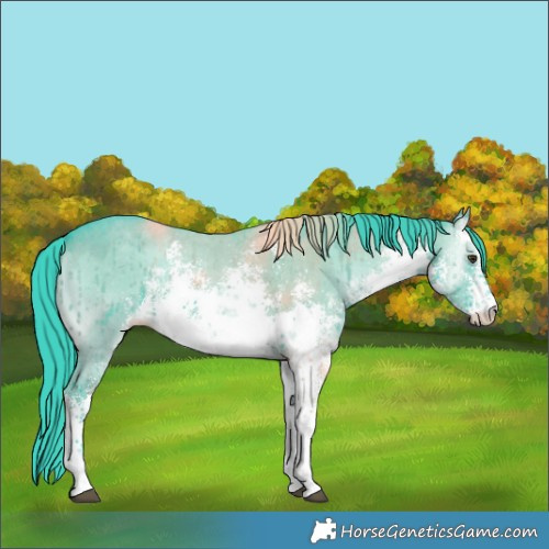 Horse Color:Watercolor White Spotted Liver Red Dun Onyx Sabino Brindle