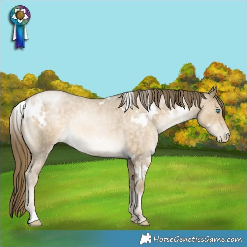 Horse Color:White Spotted Brown Roan Snowdrop Pearl