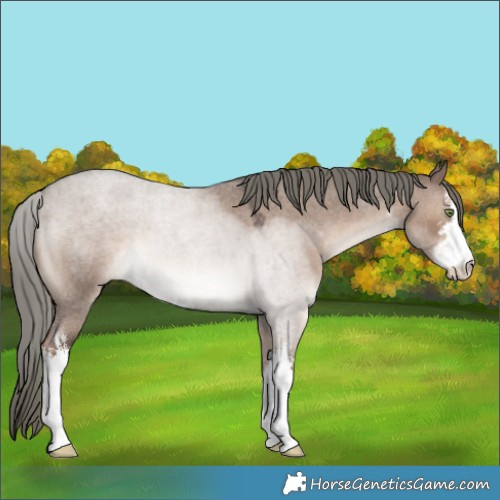 Horse Color:White Spotted Liver Red Dun Roan Mushroom