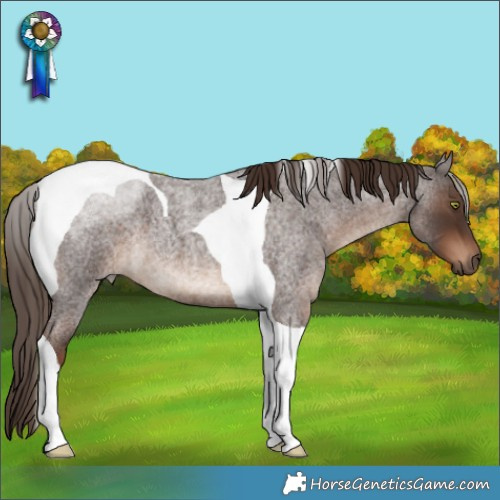 Horse Color:Liver Red Roan Tobiano
