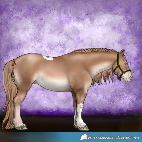 Horse Color:Liver Chestnut Pearl Tobiano 