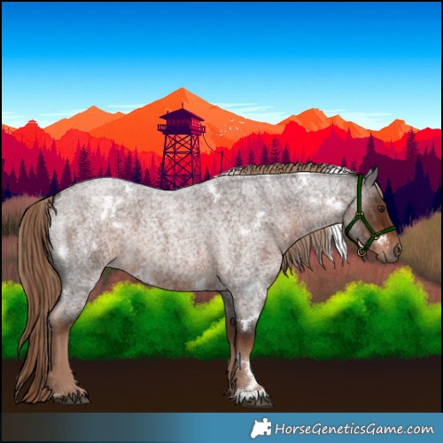 Horse Color:White Spotted Liver Red Roan 