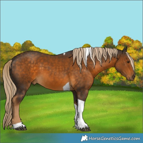 Horse Color:Chocolate Palomino Tobiano 
