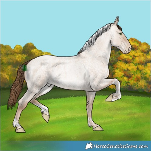 Horse Color:Liver Red Dun Roan Pearl Tobiano