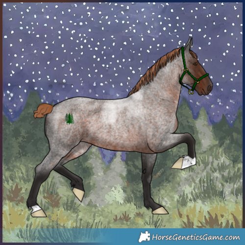 Horse Color:Liver Red Roan 